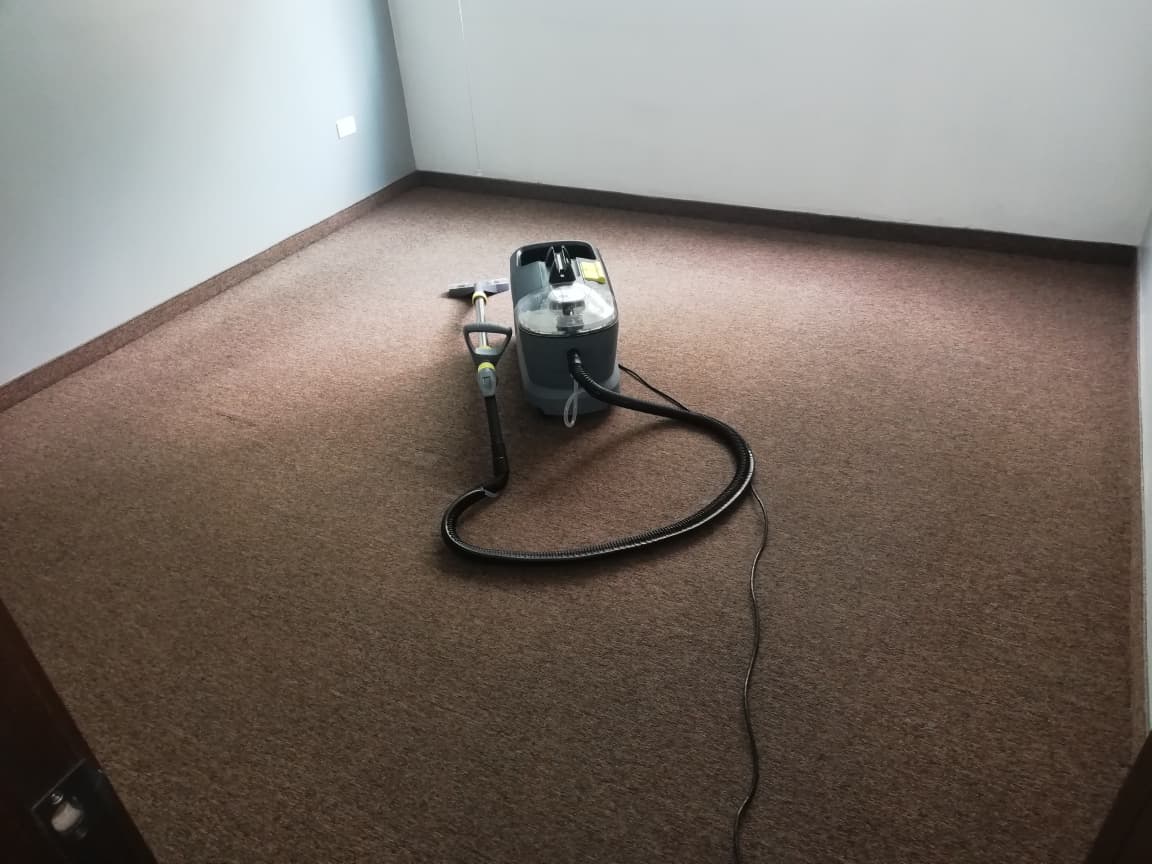Servicio de limpieza de alfombra realizado por Transmarcel